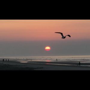 Meet your Posher, Janeth